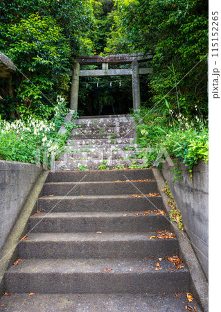 日本の鳥取県の砂丘地帯の美しい風景 115152265
