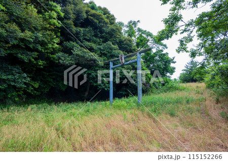 日本の鳥取県の砂丘地帯の美しい風景 日本の鳥取県の砂丘地帯の美しい風景 115152266