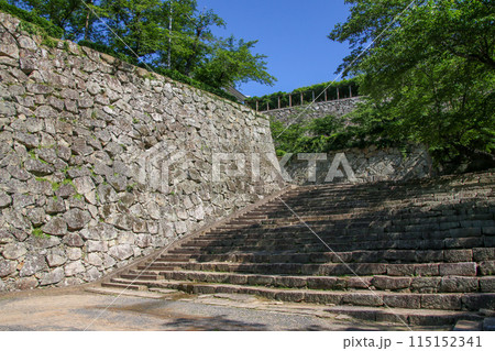津山城 115152341