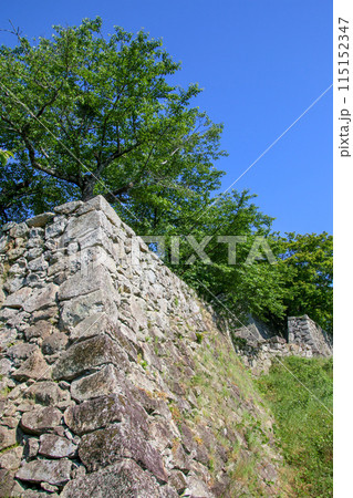 津山城 津山城 115152347