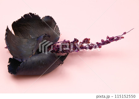 Dried flowers on pink background, romantic floral texture Dried flowers on pink background, romantic floral texture 115152550