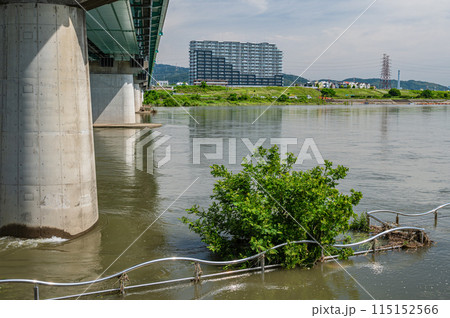 大雨で増水し濁流と化した淀川 大阪府枚方市 大雨で増水し濁流と化した淀川 大阪府枚方市 115152566