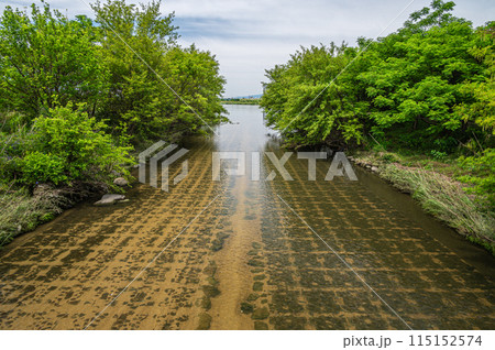 枚方市を流れる清流天野川 淀川合流地点 大阪府枚方市 枚方市を流れる清流天野川 淀川合流地点 大阪府枚方市 115152574