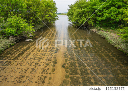 枚方市を流れる清流天野川　淀川合流地点　大阪府枚方市 115152575