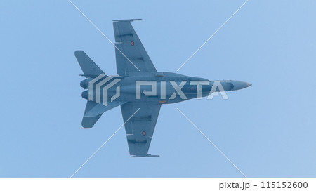 スペイン空軍EF-18Aホーネットの背面 115152600