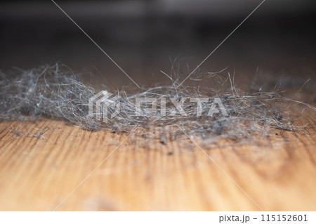 Dust clods on the floor, dirty floor, cleaning service concept 115152601