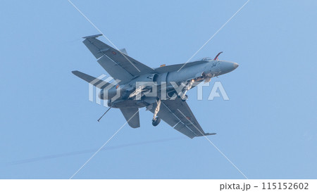 スペイン空軍EF-18Aホーネットのフックダウン 115152602