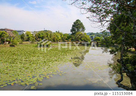 衆楽園 衆楽園 115153084