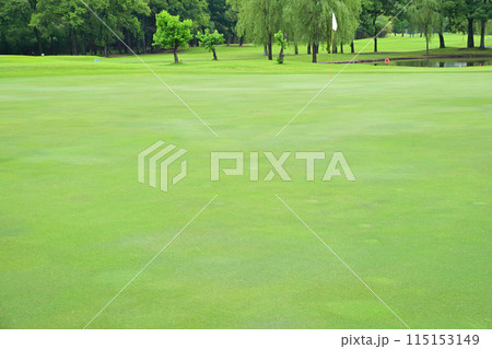 緑濃い初夏のゴルフ場　人無しグリーン　　　 115153149