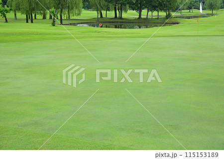 緑濃い初夏のゴルフ場　人無しグリーン　　　 115153189