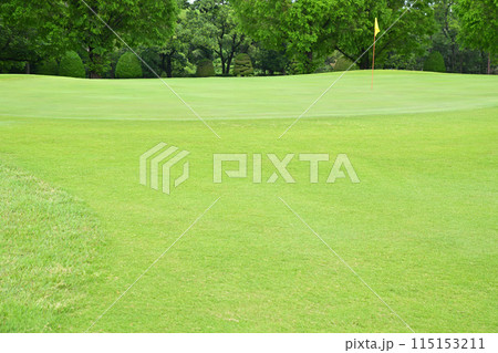 緑濃い初夏のゴルフ場 人無しグリーン 緑濃い初夏のゴルフ場 人無しグリーン 115153211