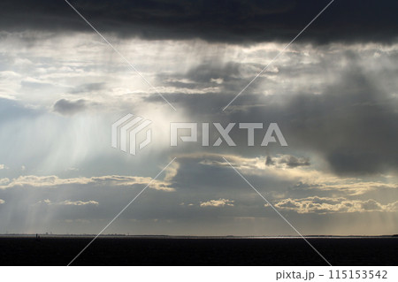 サンクトペテルブルグの港湾のどんよりとした空 サンクトペテルブルグの港湾のどんよりとした空 115153542