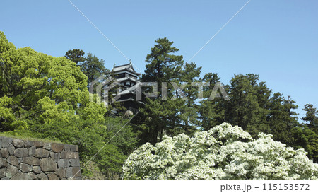 松江城の大手門から見た天守閣 115153572