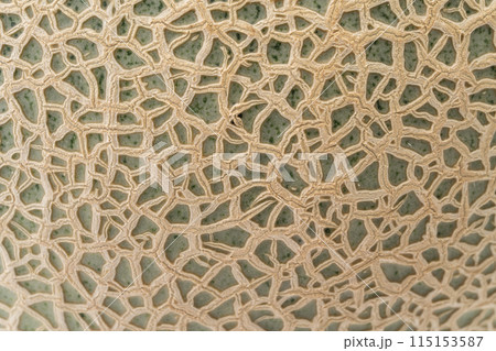 網目が美しいメロンの皮のクローズアップ背景 115153587