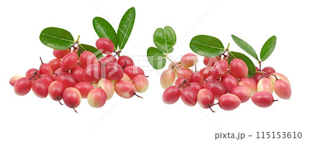 karonda fruit or bengal Currants and green leaf on white background 115153610