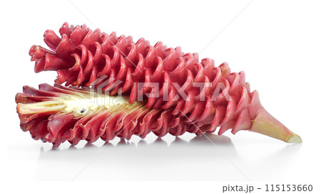 Zingiber Zerumbet flower isolated on white background Zingiber Zerumbet flower isolated on white background 115153660