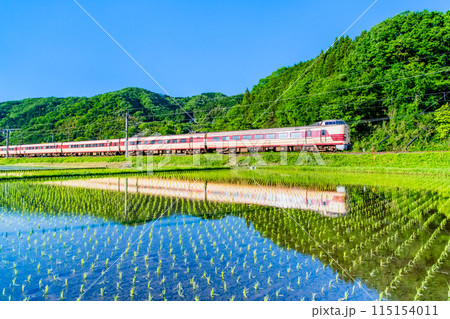伯備線 特急やくも　新緑の水田を走る国鉄色の381系（江尾－伯耆溝口） 115154011