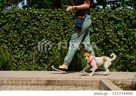 Woman Walking with Dog, Naughty Dog Pulling Leash Woman Walking with Dog, Naughty Dog Pulling Leash 115154400