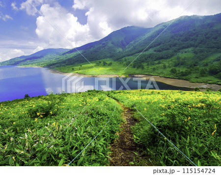 雲湧く夏の高原とノゾリキスゲ 115154724