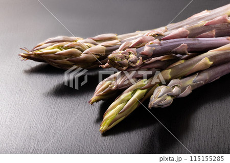 ［山形県産］紫アスパラガス 115155285
