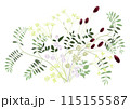 枝葉と実の束 115155587