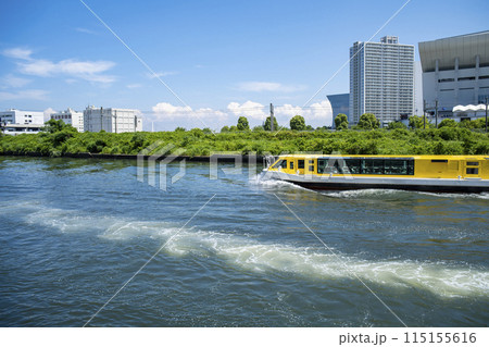 横浜　新港パークの風景 115155616