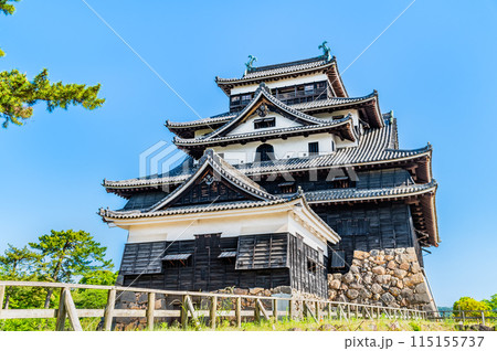 松江城 天守 115155737