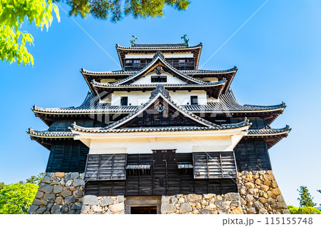 松江城 天守 115155748