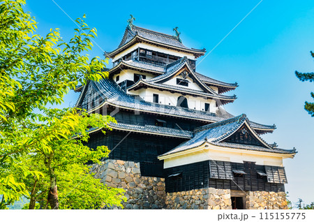 松江城 天守 115155775