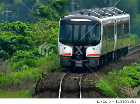HC85系　4両編成 115155863