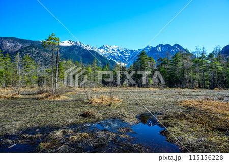 【上高地】田代湿原_01 【上高地】田代湿原_01 115156228