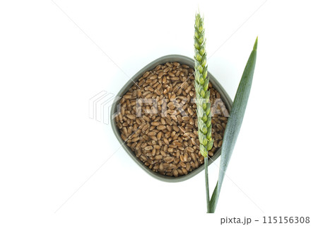 Wheat grains in a bowl with a wheat spike and leaf on a white background Wheat grains in a bowl with a wheat spike and leaf on a white background 115156308