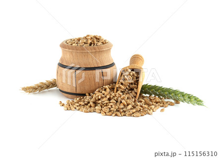 Wooden barrel and scooper filled with wheat grains next to wheat ears on white background Wooden barrel and scooper filled with wheat grains next to wheat ears on white background 115156310