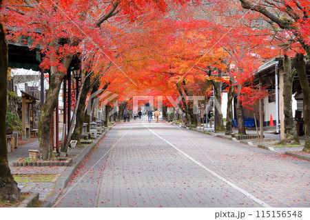 紅葉の西国三十三番札所　谷汲山華厳寺散策・7（岐阜県） 115156548