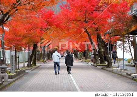 紅葉の西国三十三番札所 谷汲山華厳寺散策・10(岐阜県) 紅葉の西国三十三番札所 谷汲山華厳寺散策・10(岐阜県) 115156551