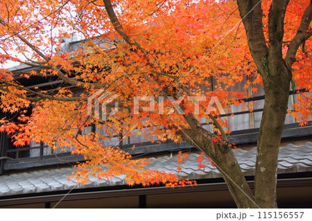 紅葉の西国三十三番札所 谷汲山華厳寺散策・16(岐阜県) 紅葉の西国三十三番札所 谷汲山華厳寺散策・16(岐阜県) 115156557