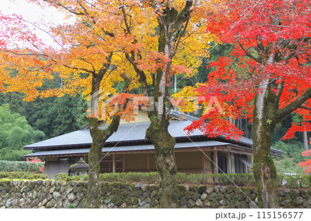 紅葉の西国三十三番札所　谷汲山華厳寺散策・36（岐阜県） 115156577
