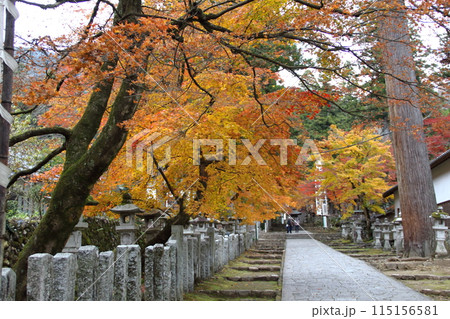 紅葉の西国三十三番札所　谷汲山華厳寺散策・40（岐阜県） 115156581