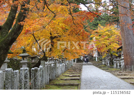 紅葉の西国三十三番札所　谷汲山華厳寺散策・41（岐阜県） 115156582