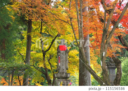 紅葉の西国三十三番札所　谷汲山華厳寺散策・44（岐阜県） 115156586