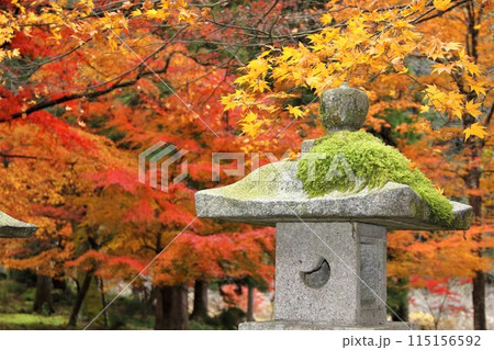 紅葉の西国三十三番札所 谷汲山華厳寺散策・49(岐阜県) 紅葉の西国三十三番札所 谷汲山華厳寺散策・49(岐阜県) 115156592