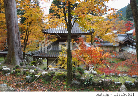 紅葉の西国三十三番札所　谷汲山華厳寺散策・68（岐阜県） 115156611
