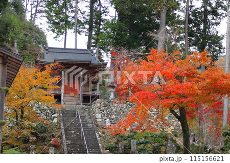 紅葉の西国三十三番札所 谷汲山華厳寺散策・78(岐阜県) 紅葉の西国三十三番札所 谷汲山華厳寺散策・78(岐阜県) 115156621