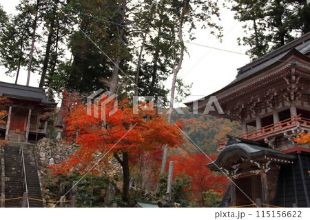 紅葉の西国三十三番札所 谷汲山華厳寺散策・79(岐阜県) 紅葉の西国三十三番札所 谷汲山華厳寺散策・79(岐阜県) 115156622