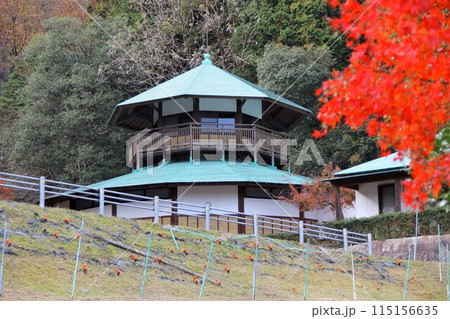 紅葉の西国三十三番札所 谷汲山華厳寺散策・92(岐阜県) 紅葉の西国三十三番札所 谷汲山華厳寺散策・92(岐阜県) 115156635