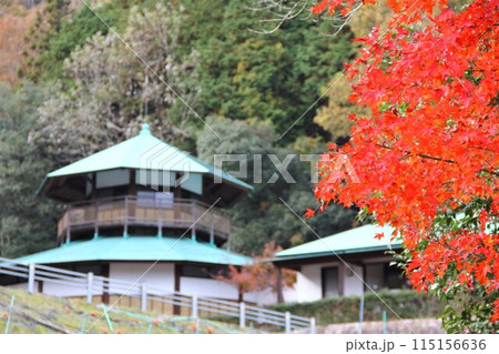 紅葉の西国三十三番札所 谷汲山華厳寺散策・93(岐阜県) 紅葉の西国三十三番札所 谷汲山華厳寺散策・93(岐阜県) 115156636