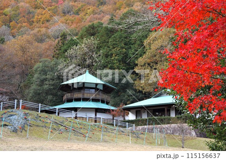 紅葉の西国三十三番札所 谷汲山華厳寺散策・94(岐阜県) 紅葉の西国三十三番札所 谷汲山華厳寺散策・94(岐阜県) 115156637