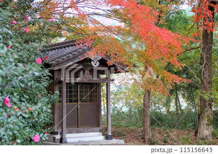 紅葉の西国三十三番札所 谷汲山華厳寺散策・100(岐阜県) 紅葉の西国三十三番札所 谷汲山華厳寺散策・100(岐阜県) 115156643