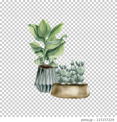 Home green plants in pots watercolor illustration. Urban jungle floral elements with cactus and palm, house potted plants composition for poster, interior design, eco stickers, flower shop 115157229