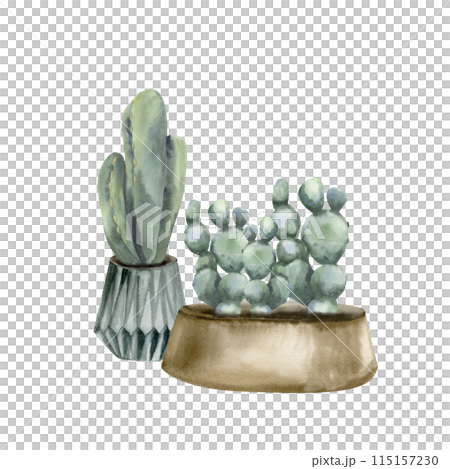 Houseplants in pots watercolor illustration. Hand drawn urban jungle composition, floral home potted cactus for interior, poster design, stickers, flower shop logo, boho home Houseplants in pots watercolor illustration. Hand drawn urban jungle composition, floral home potted cactus for interior, poster design, stickers, flower shop logo, boho home 115157230